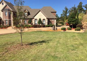 Landscape Design Little Rock