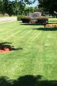 Best lawn mowing company in little rock