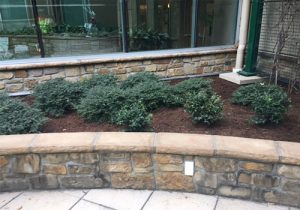 Best Garden Walls Little Rock