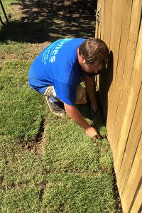 Sod installation little rock