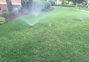 Sprinkler System in Little Rock