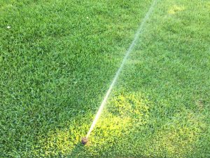 Sprinkler Systems in Little Rock